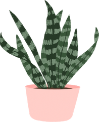 Indoor plant illustration 